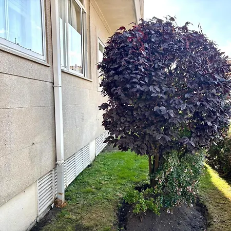Holibai, Faro De Ons, Atico Con Parking Cerca De La Playa Appartamento *
